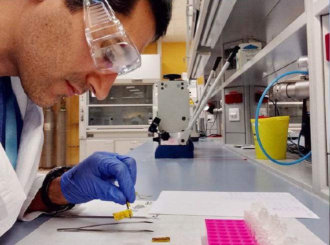 El investigador argentino, Fernando Muñoz, prepara muestras para la evaluación de las distintas especies de selenio acumuladas en alfalfa y productos lácteos mediante la técnica espectroscopía de rayos X en el Sincrotrón ALBA de Barcelona. Foto: Crédito de la imagen: Fernando Muñoz