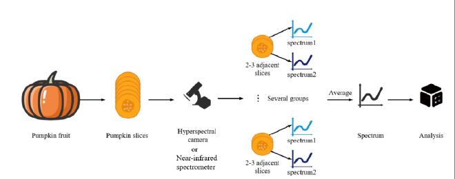 Diagrama de flujo del análisis espectroscópico de la calidad de la calabaza (imagen de XU Zhuopin)