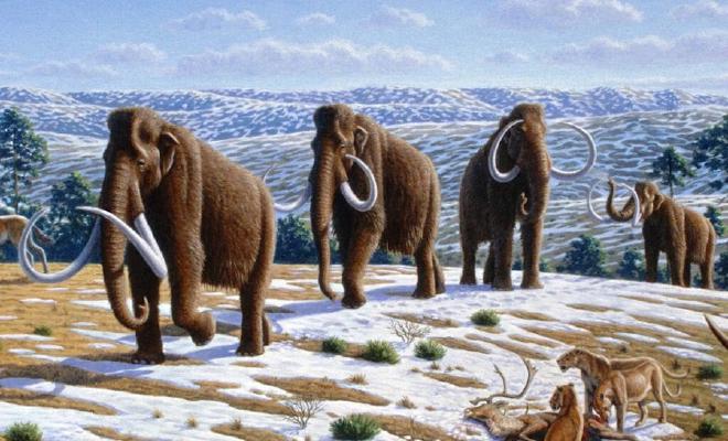 This artist’s rendition shows woolly mammoths in northern Spain. These animals lived in Europe and North America during the last glacial period, around 21,000 years ago. A new study used updated climate maps from that period, when atmospheric carbon dioxide was lower, to better predict future warming under rising CO2. Credit: Mauricio Anton