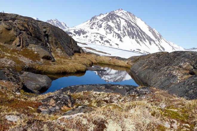 Paisaje rocoso con plantas de tundra cerca de la costa oriental de Groenlandia