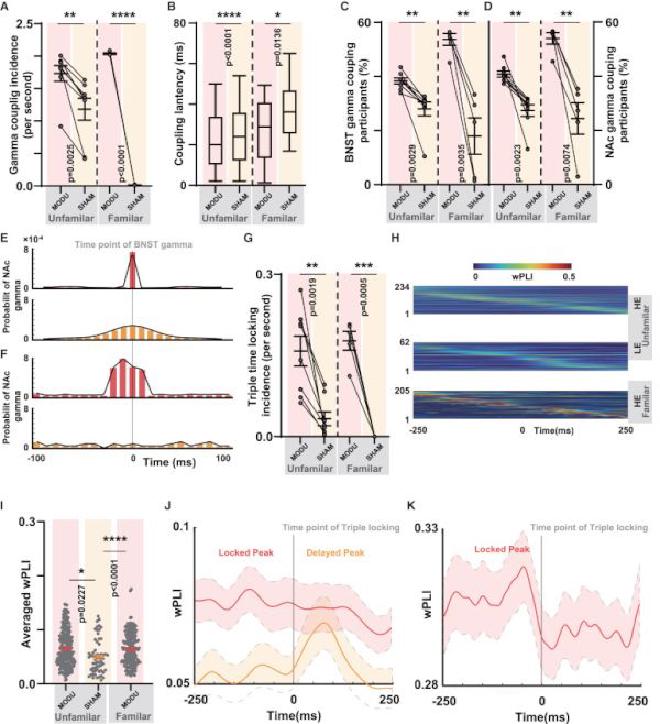 Figura 7. El arrastre auditivo promovió la triple sincronía de bloqueo del tiempo y medió el efecto de alivio de la depresión. Crédito de la imagen: Bomin Sun et al.