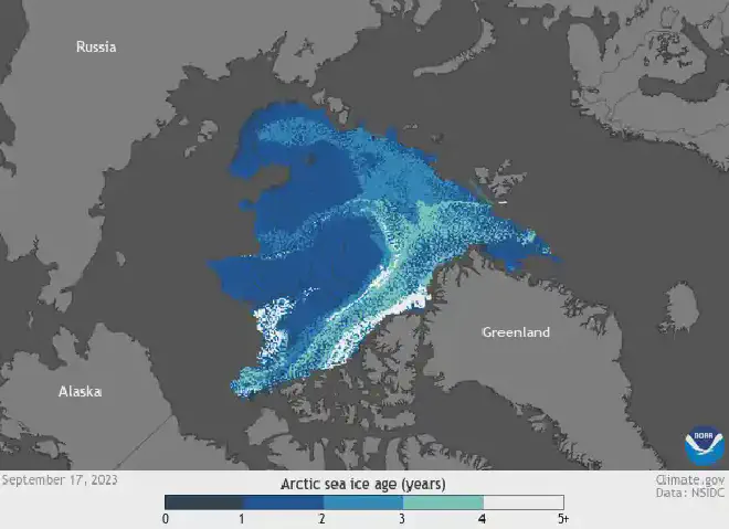 En la actualidad queda muy poco hielo de más de 4 años de antigüedad (blanco) en el Ártico