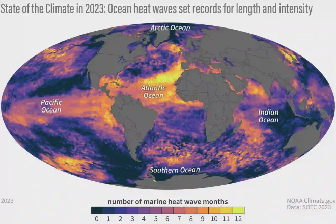 Estado del clima en 2023: Las olas de calor oceánicas alcanzaron récords de longitud e intensidad