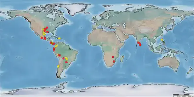 Distribución geográfica de los casos reportados de asociaciones entre tarántulas y anuros. Puntos rojos: registros de literatura; puntos amarillos: nuevos registros. Crédito de la imagen: Alireza Zamani et al.