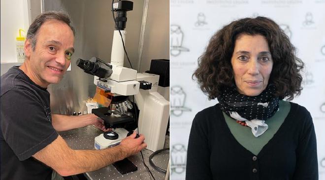 Horacio de la Iglesia, de la Universidad de Washington (EE.UU.), y Fernanda Ceriani, de la Fundación Instituto Leloir, dos de los autores del estudio.