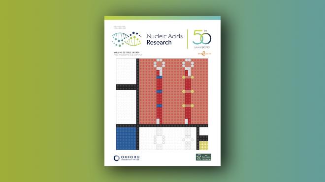 El estudio ilustra la portada de la revista Nucleic Acids Research diseñada por Belén Moro.