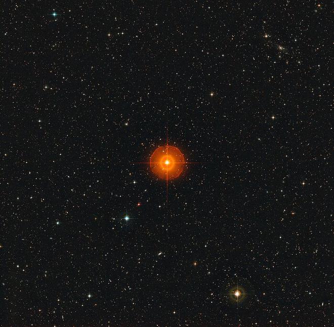 Esta vista de campo amplio, creada a partir de imágenes de Digitized Sky Survey 2, muestra la región alrededor de R Doradus, la estrella naranja brillante en el centro. Recientemente se obtuvieron imágenes detalladas de la superficie de la estrella utilizando el Atacama Large Millimeter/submillimeter Array (ALMA), en el que ESO es socio. Crédito: ESO/Digitized Sky Survey 2. Reconocimiento: Davide De Martin