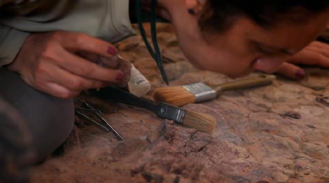 Trabajos en Ischigualasto