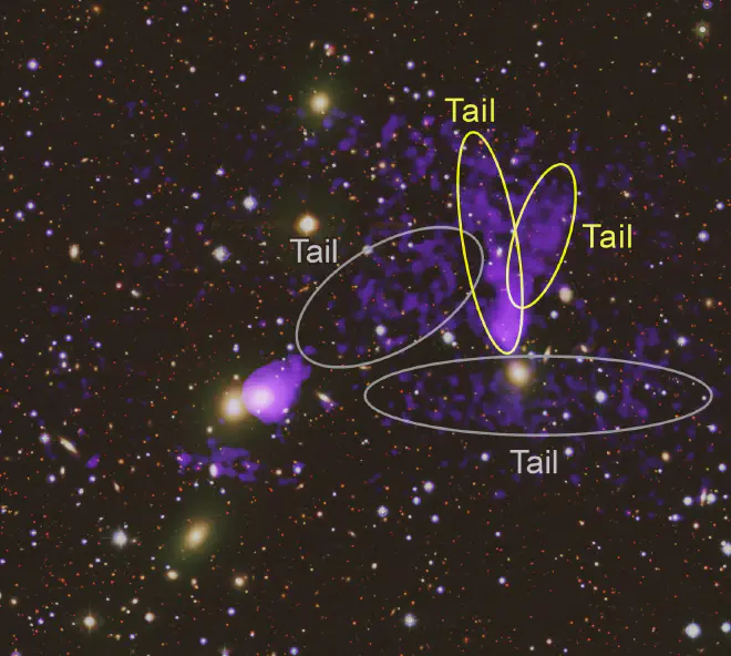 Esta es la versión con anotaciones. Los investigadores descubrieron un segundo par de colas detrás de una galaxia en este cúmulo. Anteriormente, habían develado un par de colas más cortas de una galaxia diferente, pero cercana a esta última. Este nuevo y más largo conjunto de colas sólo se obtuvo debido a una observación más profunda con Chandra que reveló los rayos X más débiles que se han mostrado en los datos ópticos. Estas colas se extienden por más de un millón de años luz y ayudan a determinar la evolución del cúmulo de galaxias. Crédito de la imagen: Rayos X: NASA/CXC/Xiamen Univ./C. Ge; Óptica: colaboración DESI; Procesamiento de imágenes: NASA/CXC/SAO/N. Wolk