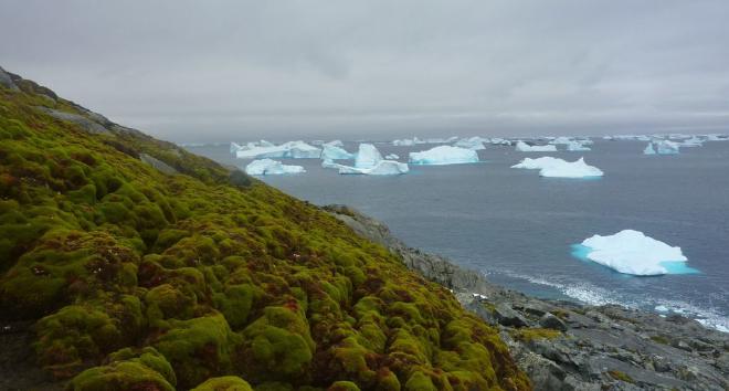 Green Island. Crédito de la imagen: Matt Amesbury