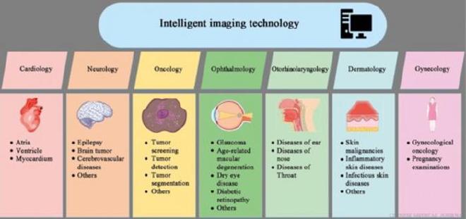 Intelligent imaging technology finds applications in cardiology, neurology, oncology, ophthalmology, otorhinolaryngology, dermatology, and gynecology. From aiding in tumor detection and classification to diagnosing glaucoma and inflammatory skin diseases, this versatile technology is transforming diagnostics and treatment planning across medical domains. Credit: Ke Fan from Chinese Academy of Sciences