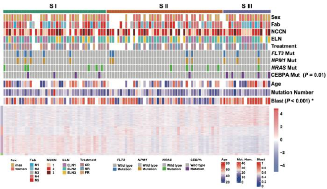 Figure 2. Proteomic subgrouping based on the most varied proteins (n = 1,376). Clinical characterizations of 101 AML patients associated with three proteomic subtypes. Credit: ©Science China Press