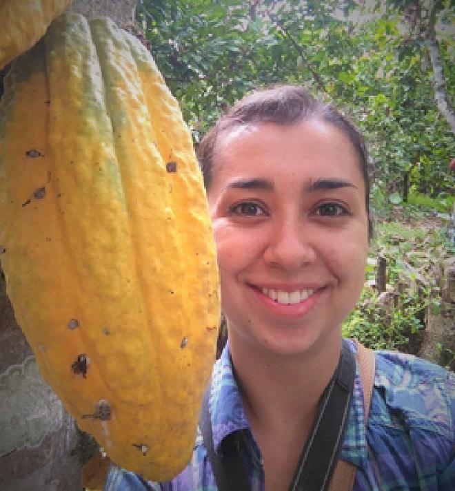 Carolina Ocampo Ariza next to a mature cacao pod, from the native Peruvian variety “Cacao blanco de Piura”. Credit: Carolina Ocampo Ariza