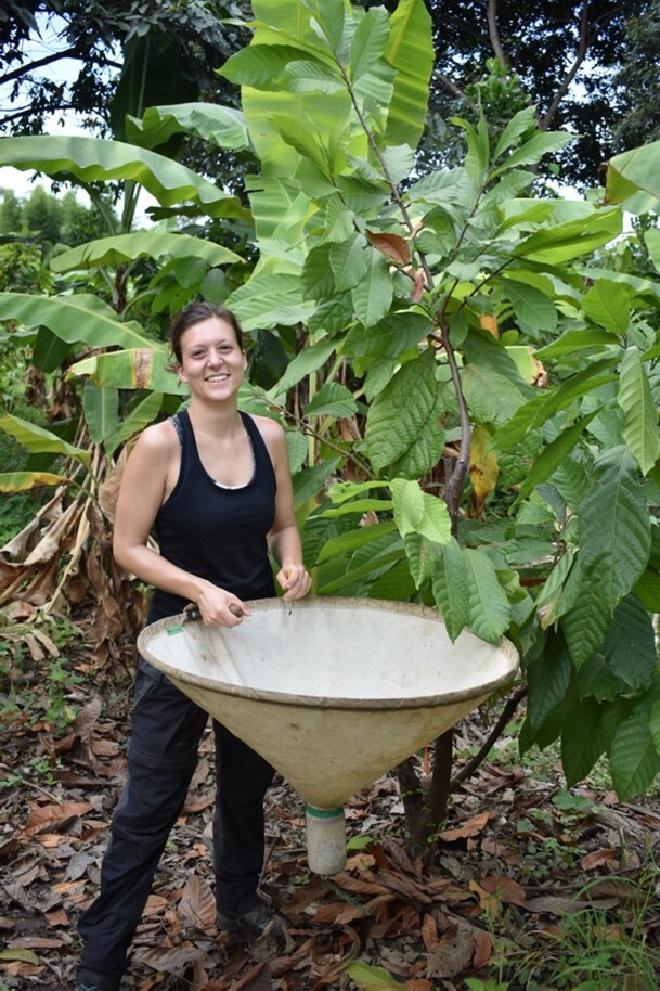 Researcher Sophie Müller holding a beating cone for the collection of arthropods on cacao plants. Image credit: Denise Bertleff