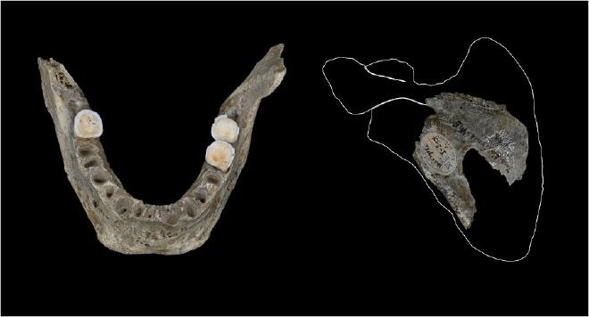 Human remains found in the Maszycka Cave dating from 18,000 years ago. Credit: Antonio Rodríguez-Hidalgo IAM (CSIC-Junta de Extremadura)