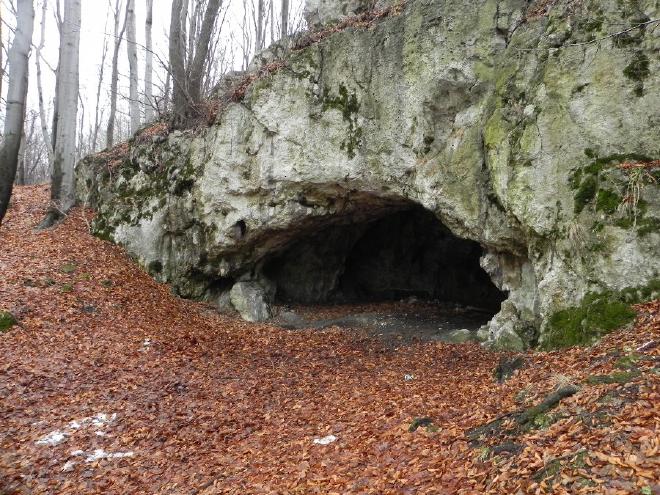 The entrance to the Maszycka Cave in southern Poland. Credit: Darek Bobak