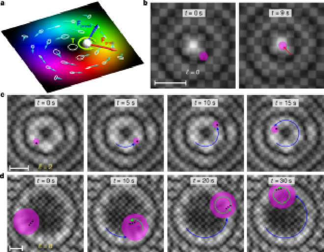 Fig. 4: Dynamics of floating particles in the Bessel-vortex water waves. Credit: Jian Shi et al.