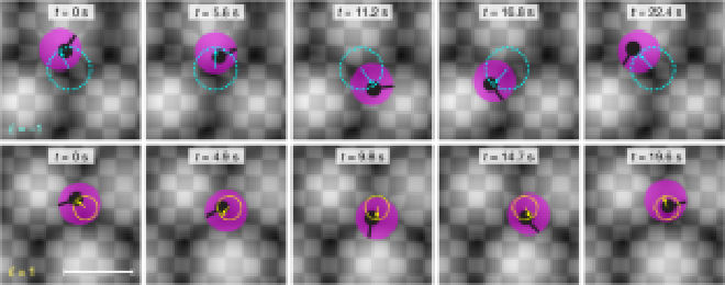 Fig. 5: Dynamics of floating particles around the first-order vortices in the three-wave interference lattice. Credit: Jian Shi et al