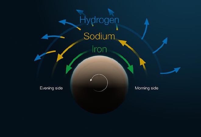 Este diagrama muestra la estructura y el movimiento de la atmósfera del exoplaneta Tylos (WASP-121b). En esta figura, el exoplaneta se muestra desde arriba, mirando a uno de sus polos. El planeta gira en sentido contrario al de las agujas del reloj, de tal manera que siempre muestra el mismo lado a su estrella anfitriona, por lo que siempre es de día en una mitad del planeta y de noche en la otra. La transición entre la noche y el día es el &ldquo;lado de la mañana&rdquo;, mientras que el &ldquo;lado de la tarde&rdquo; representa la transición entre el día y la noche; su lado matutino está a la derecha y su lado vespertino a la izquierda. A medida que el planeta cruza frente a su estrella anfitriona, los átomos de la atmósfera del planeta absorben colores o longitudes de onda específicos de la luz de la estrella que se pueden medir con un espectrógrafo. A partir de estos datos, obtenidos en este caso con el instrumento ESPRESSO, instalado en el Very Large Telescope de ESO, la comunidad astronómica puede reconstruir la composición y la velocidad de las diferentes capas de la atmósfera. La capa más profunda es un viento de hierro que sopla desde el punto del planeta donde la estrella está directamente sobre su cabeza. Por encima de esta capa hay un chorro muy rápido de sodio que se mueve más rápido de lo que gira el planeta. Este chorro en realidad se acelera a medida que se mueve desde el lado de la mañana al lado de la tarde del planeta. Finalmente, hay una capa superior de viento de hidrógeno que sopla hacia afuera. Esta capa de hidrógeno se superpone con el chorro de sodio que se encuentra debajo. Crédito: ESO/M. Kornmesser