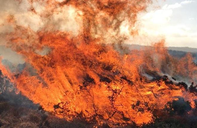 The new study led by the University of Cambridge has revealed that as our springs and summers get hotter and drier, the UK wildfire season is being stretched and intensified. Credit: Sarah Baker