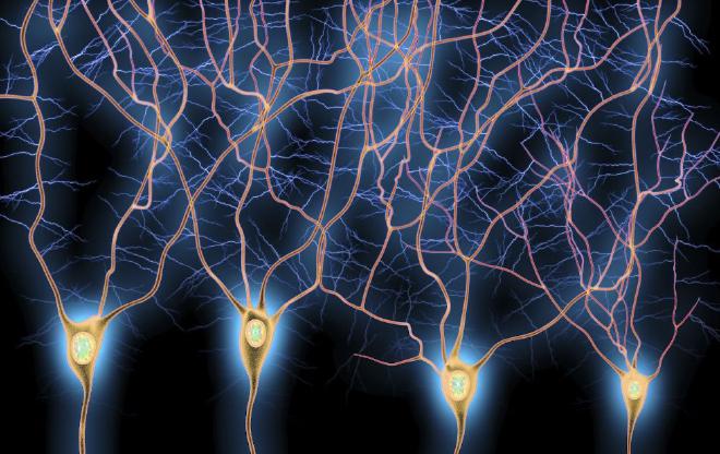 Ilustración computacional de las dendritas, las proyecciones ramificadas que se extienden desde las neuronas en el cerebro. Crédito de la ilustración: Science Photo Library/Getty Images