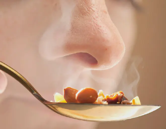 There is a direct connection between the nose and a group of nerve cells in the brain. The nerve cells are activated by the smell of food and trigger a feeling of satiety. © AI generated / Max Planck Institute for Metabolism Research