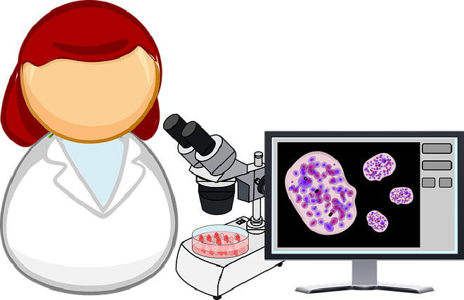 Image by OpenClipart-Vectors from Pixabay
