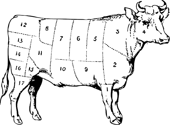 Imagen de Free-Vector-Images, en Pixabay