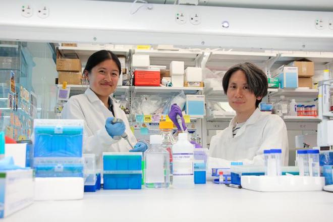 Las investigadoras de Penn Engineering, Emily Han y Dongyoon Kim, de izquierda a derecha. Crédito: Bella Ciervo