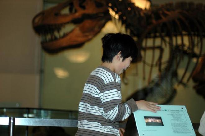 Hamilton Se-Hwee Oh, PhD: Primeros tiempos, imaginando la vida de milenios pasados. Museo Americano de Historia Natural, Nueva York, EE. UU. Domingo, 25 de diciembre de 2005. Crédito de la imagen: Dr. Hamilton Oh