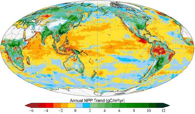 The image illustrates the annual trend in global net primary production (NPP) — or net carbon gain by photosynthetic organisms on Earth — from 2003 to 2021. Credit image: courtesy of Yulong Zhang, et al, 2025