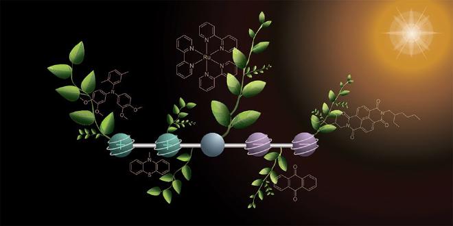 As with natural photosynthesis, the new molecule temporarily stores two positive and two negative charges. (Illustration: Deyanira Geisnæs Schaad)