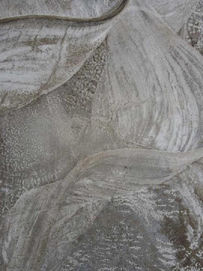 A drone view of the active channel and floodplain of Shoshone Creek in Nevada. The active river channel is moving through sediments it previously deposited. Former channel boundaries visible at the surface record the overall downstream migration of river bends, as Hasson et al. showed typically occurs in meandering rivers with bare, unvegetated banks. (Image credit: M. Hasson and M. Lapôtre)