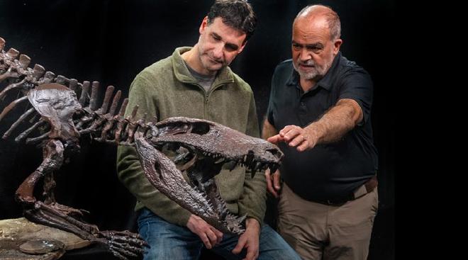 Marcelo Isasi and Fernando Novas, alongside the Kostensuchus atrox crocodile bones. Photo: courtesy of the researchers