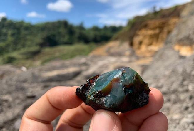The discovery, which took place in the province of Napo (Ecuador), opens a unique window into the past: it provides insight into the rich biodiversity of a dense, humid tropical forest in the southern hemisphere some 112 million years ago, when the modern continents broke away from the supercontinent Gondwana and large reptiles dominated the terrestrial ecosystems. Image credit: University of Barcelona