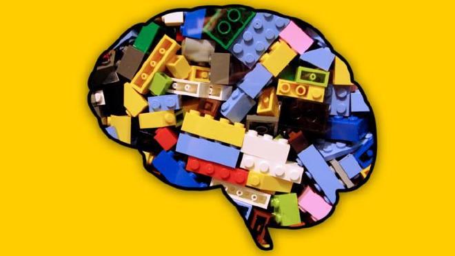 Princeton researchers found that a primate’s prefrontal cortex reuses modular “cognitive Legos” to solve related tasks, giving biological brains a flexibility that AI still lacks. The insight could help improve AI systems so they retain old skills while learning new ones. Image credit: Adapted by Dan Vahaba (Princeton University), from “Brain Silhouette 2” (Littleolred, CC0 1.0, freesvg.org) and “Lego bricks” (Benjamin D. Esham, CC BY-SA 4.0, Wikimedia Commons)