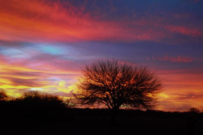 Imagen de Juanedc, Zaragoza, España - Atardecer en el caldenal