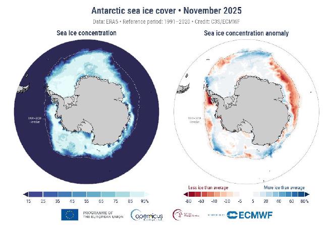 Left: Average Antarctic sea ice concentration for November 2025. The white line denotes the climatological ice edge for November for the period 1991-2020. Right: Antarctic sea ice concentration anomaly for November 2025 relative to the November average for the period 1991-2020. Data source: ERA5. Credit: C3S/ECMWF.