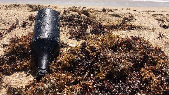 In 2020, Friends of Palm Beach, a nonprofit organization in Florida, began to see oil-covered debris wash ashore. Credit: Diane Buhler, Friends of Palm Beach