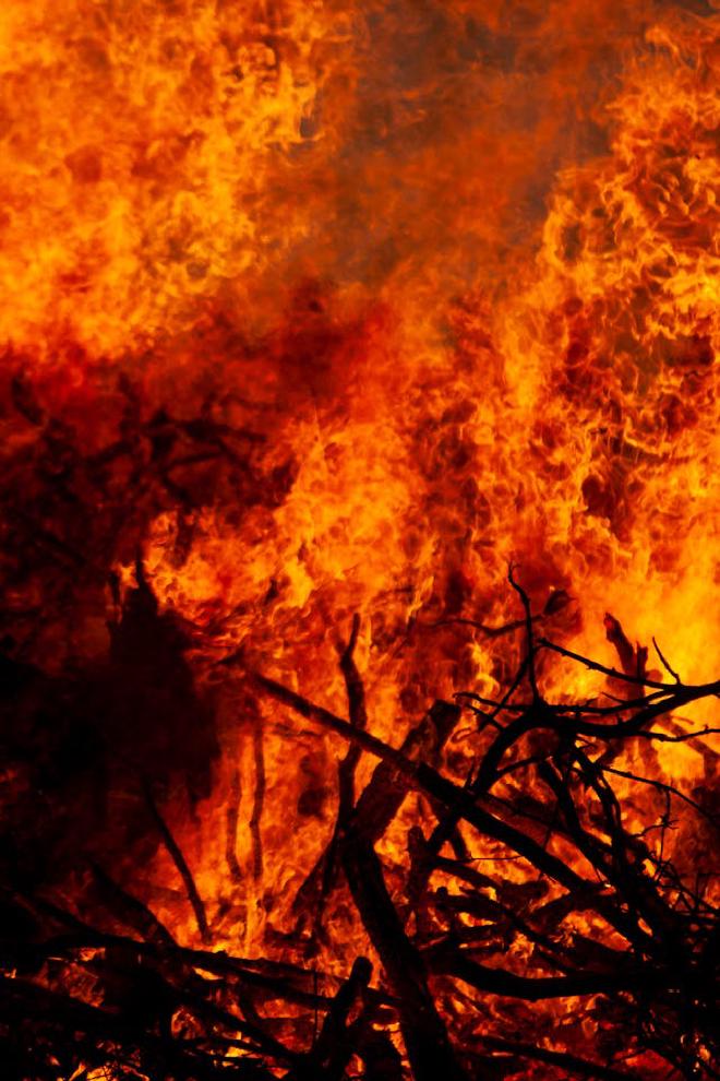 Image by Michael Noel in Pexels