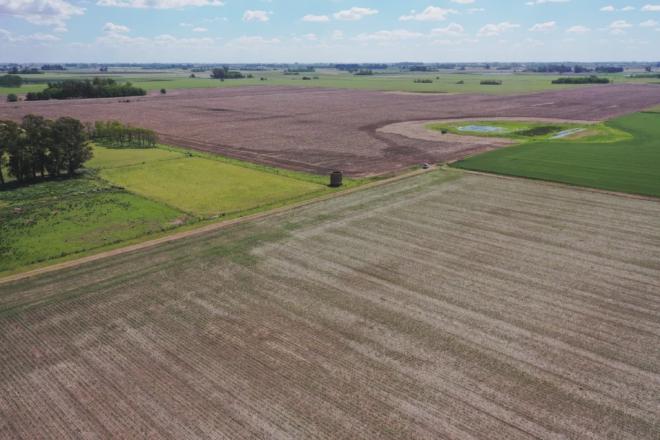 The new tool incorporates the temporal variable, which makes a difference and provides a more precise reading for making productive decisions.