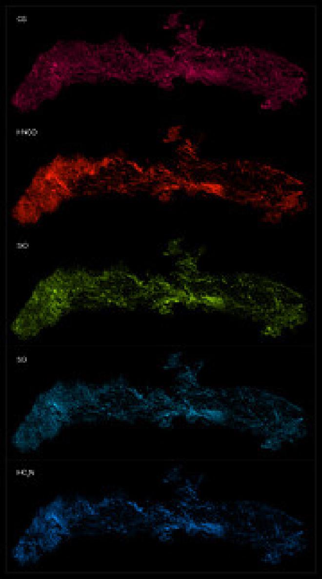 Diferentes moléculas en el centro de la Vía Láctea observadas con ALMA. El montaje muestra la distribución de diferentes moléculas en la Zona Molecular Central (ZMC) de la Vía Láctea. Las observaciones se realizaron con el Atacama Large Millimeter/submillimeter Array (ALMA), como parte del Sondeo de Exploración de la ZMC de ALMA o ACES. ACES cartografió la distribución de varias docenas de moléculas en el centro de nuestra galaxia. Se muestran cinco de ellas, de arriba a abajo: monosulfuro de carbono, ácido isociánico, monóxido de silicio, monóxido de azufre y cianoacetileno. Crédito de la imagen: ALMA(ESO/NAOJ/NRAO)/S. Longmore et al.