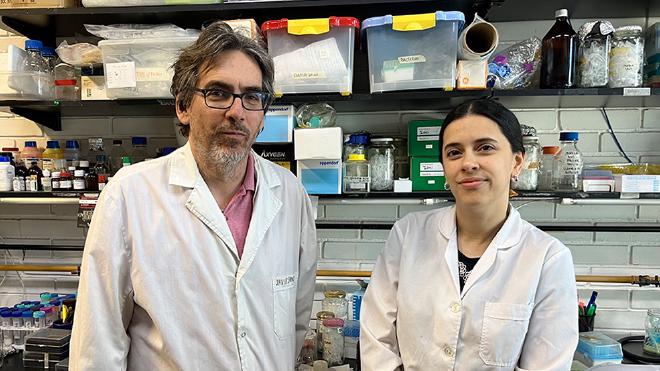 Javier Santos, one of the leaders of the advance, and María Florencia Pignataro, first author of the work, are researchers from CONICET and the UBA. Image credit: The Researchers