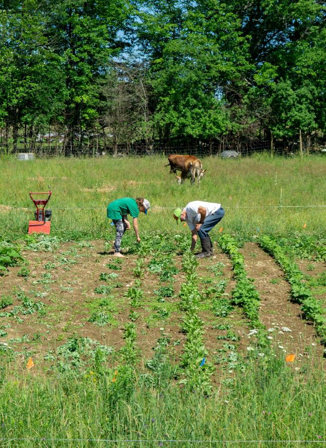 Image by Matt Barnard on Pexels