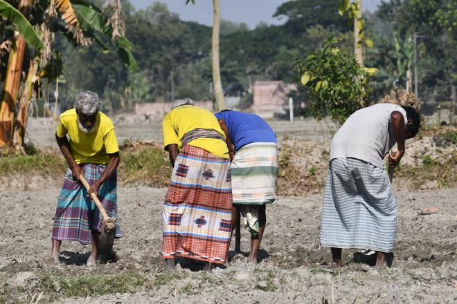 Image by Masudar Rahman on Pexels