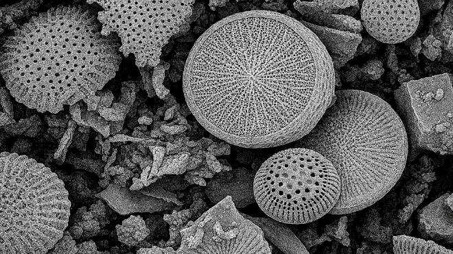 Materiales adsorbentes desarrollados a partir de la revalorización de residuos industriales en procura de que sirvan para remover micro y nanoplásticos del agua. Imagen gentileza de Carla di Luca