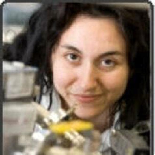 María Teresa Baeza Romero. University Professor. Department of Physical Chemistry. Higher Technical School of Agricultural Engineers of Ciudad Real. Inamol., University of Castilla-La Mancha. Image credit: The Conversation