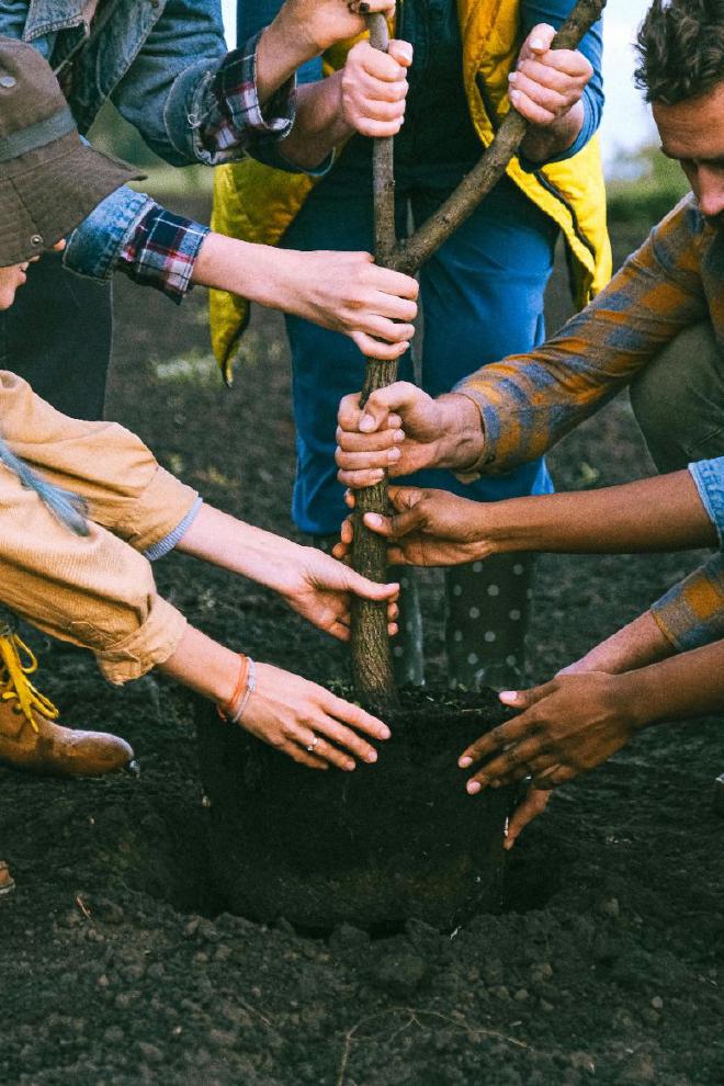 Image by Anna Shvets on Pexels