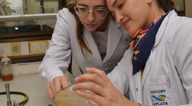 Eugenia Tanco y María Dolores Pendón en el laboratorio. Crédito de la imagen: CONICET Fotografía/Rayelen Baridon.