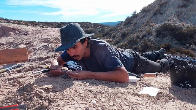 Gerardo Álvarez Herrera buscando fósiles en la excavación de Paleoteius. Foto: gentileza investigadores.